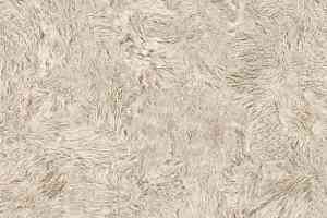 Линолеум Juteks Forum PRIDE 1_019L фото  | FLOORDEALER